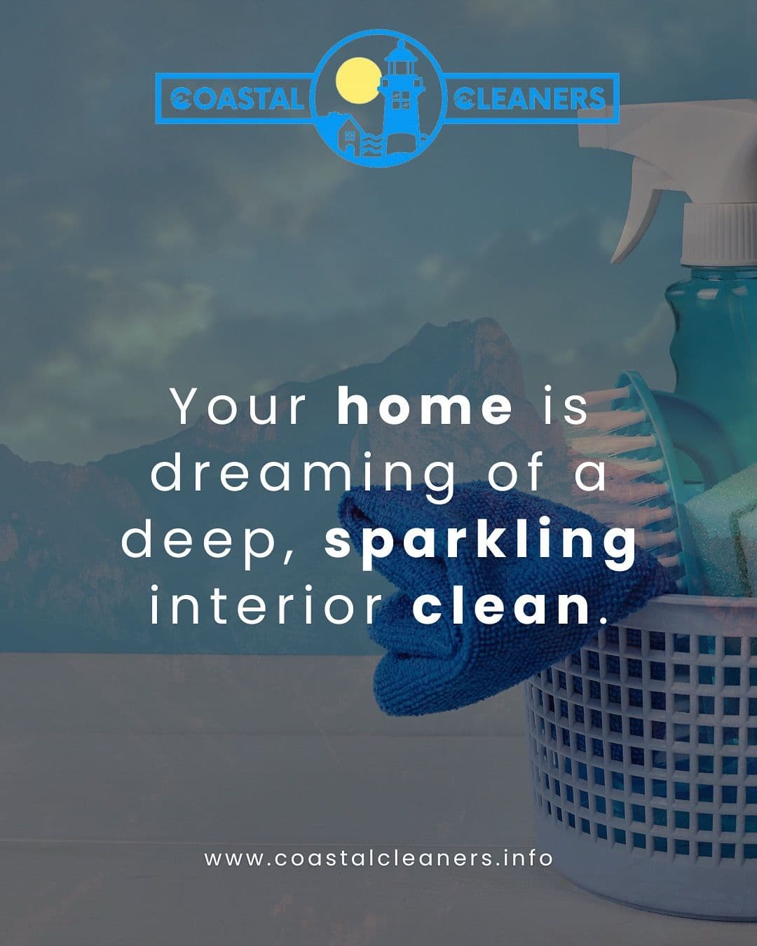 Transform Your Space with Coastal Cleaners image